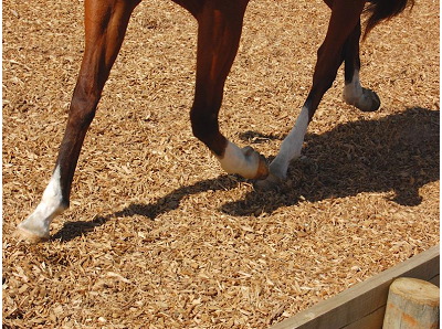 cushionride-equestrian-mulch