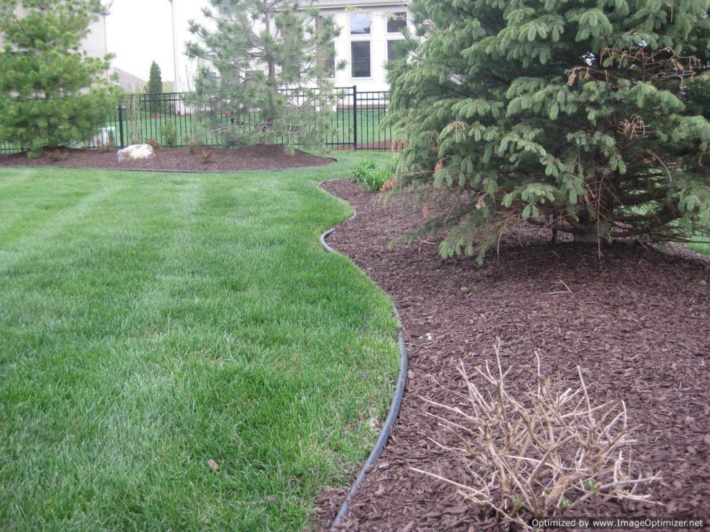 Forrest-Brown-Far-Optimized