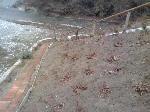 Fotografija0143